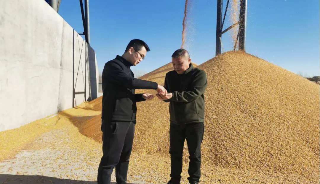 市粮油集团赴内蒙古、吉林、黑龙江等地开展市场调研